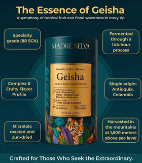 MADRE SELVA Geisha anaerobic fermentation detail highlighting unique flavor development.
