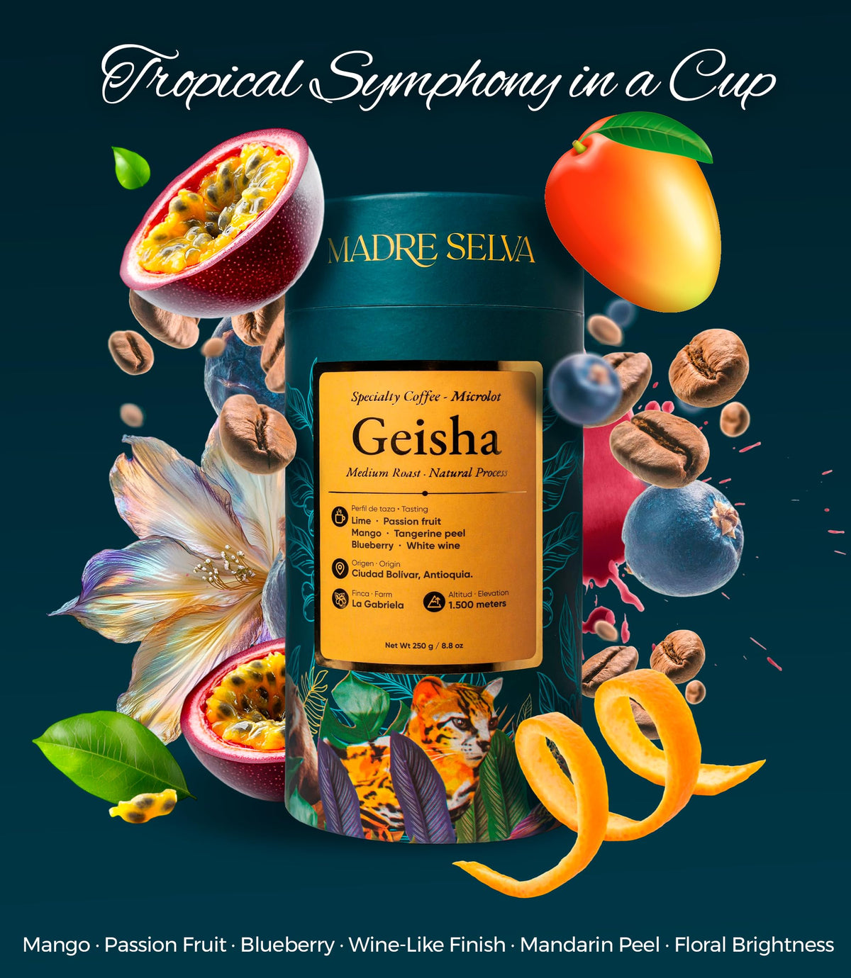 MADRE SELVA Geisha floral notes with mandarin and mango, tropical brightness.