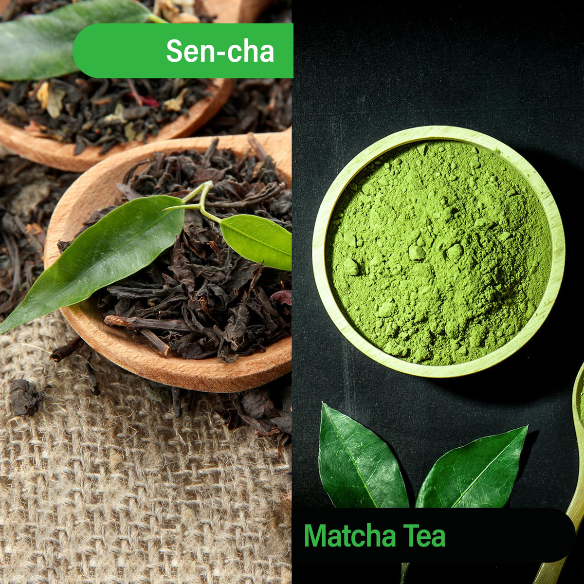 MAEDA-EN Matcha powder swirl blending into rich cup.