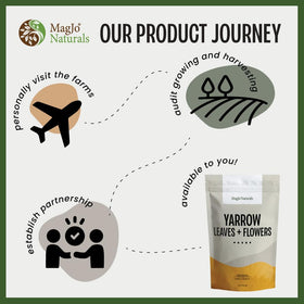 MagJo Naturals yarrow-infused oil used for comfort and craft blends.