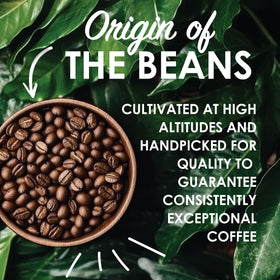 Magnum Exotics Blue Mountain Blend ethically sourced beans support responsible farming practices