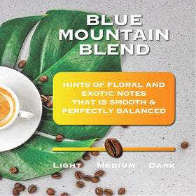 Magnum Exotics ground coffee close-up highlights fresh roast and 100 percent Arabica quality
