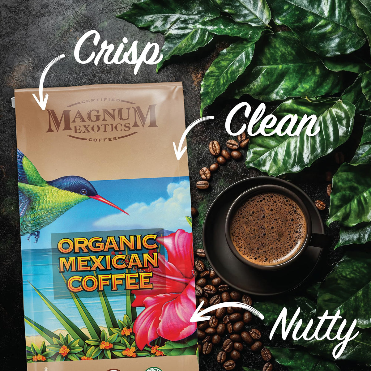 Pour-over setup featuring Magnum Exotics Mexican Coffee for a clean cup.