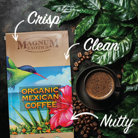 Pour-over setup featuring Magnum Exotics Mexican Coffee for a clean cup.
