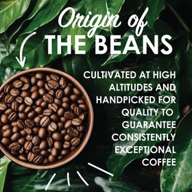 Magnum Exotics sustainable sourcing concept highlighting origin partnerships.