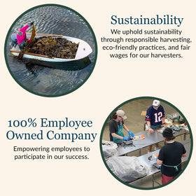 Maine Coast Sea Vegetables kelp granules blend used in sushi seasoning