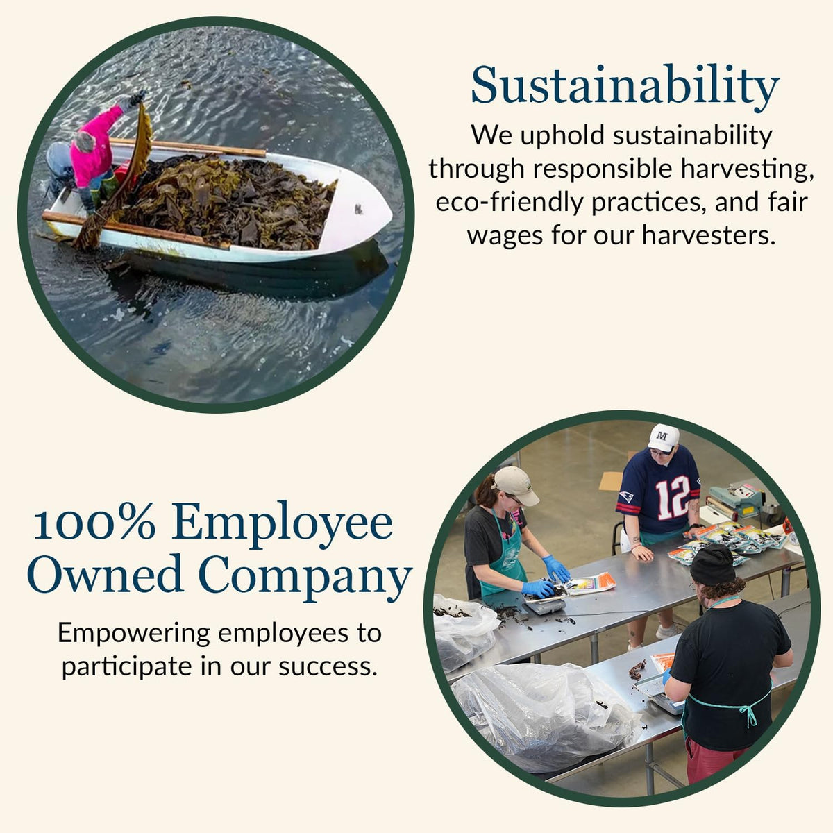 Wild harvested sea greens from Maine Coast Sea Vegetables.