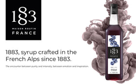 1883 MAISON ROUTIN Blueberry Syrup label close-up, highlighting authentic French quality for premium drinks.