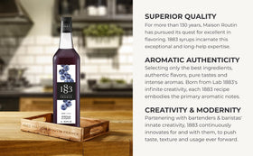 Lemonade elevation with 1883 MAISON ROUTIN Blueberry Syrup for refreshing flavor.