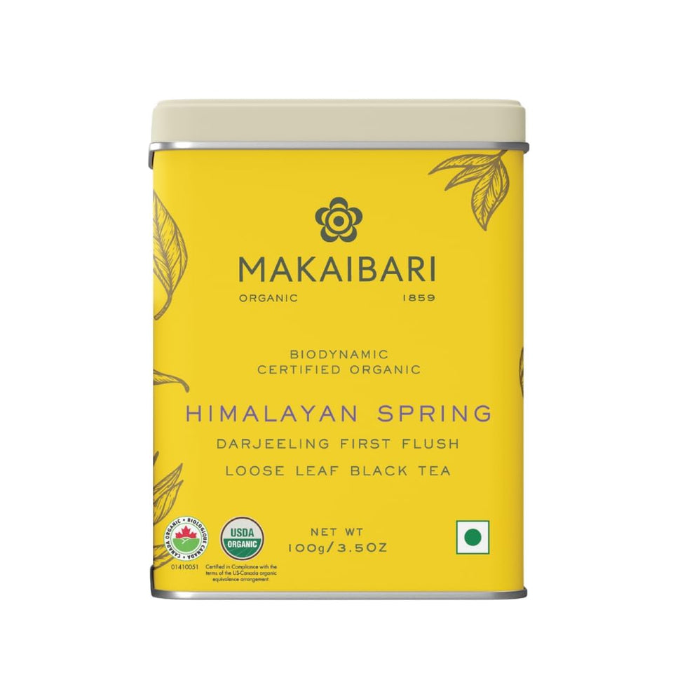 Makaibari Darjeeling first flush leaves ready for a delicate spring cup.