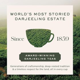 Makaibari loose leaf tea in a cup shows a bright, clean infusion.