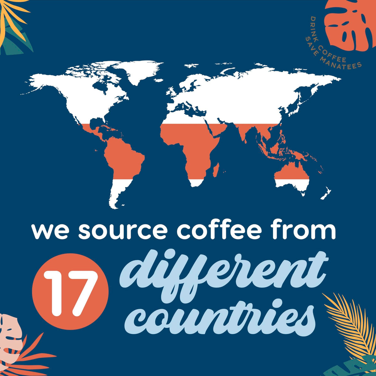 Roast beans of Manatee Gourmet Coffee Caribbean Delight showcase a balanced medium roast profile.