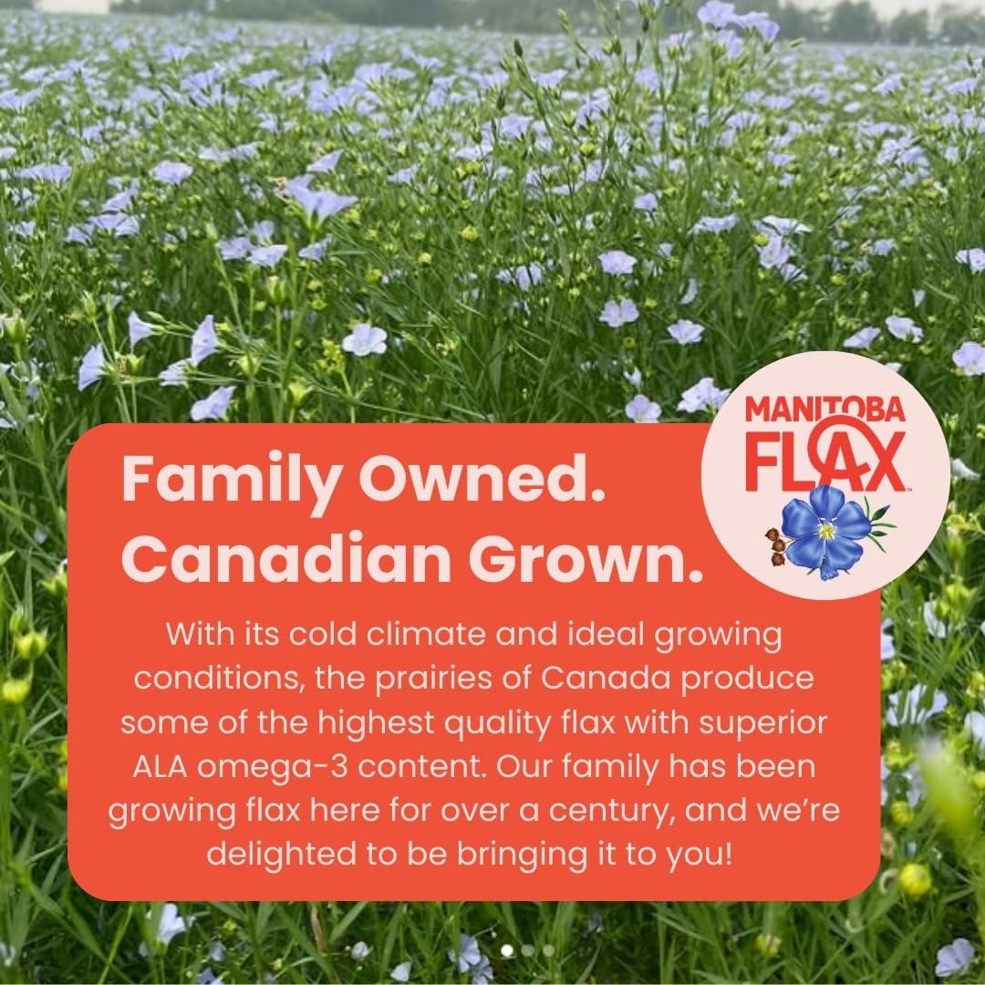 Manitoba Flax powder added to a smoothie bottle.