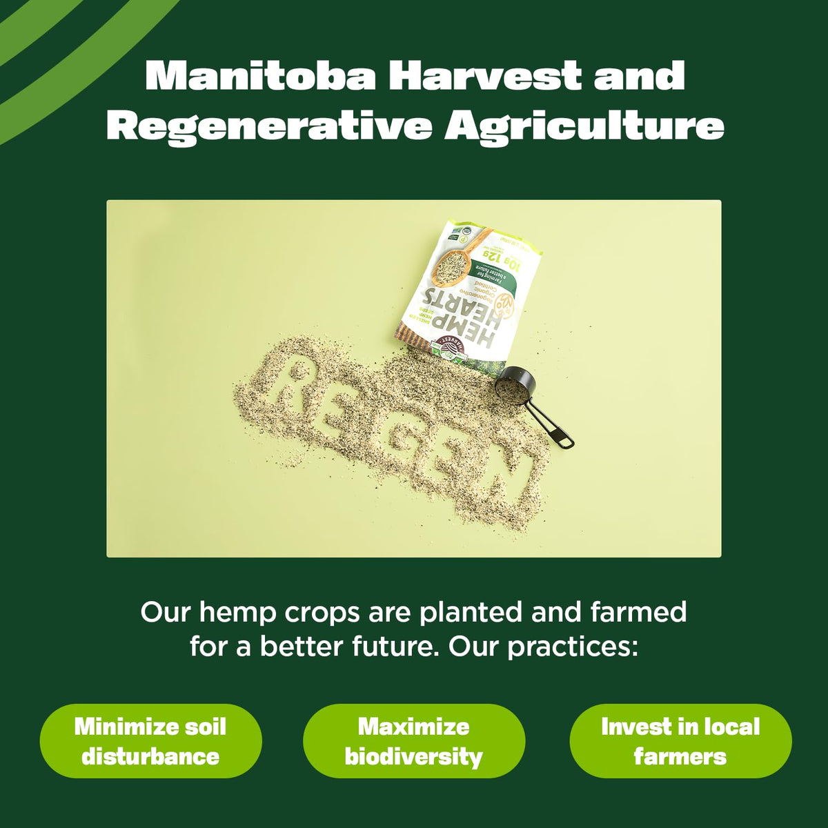 Manitoba Harvest hemp hearts sprinkled on yogurt illustrate tasty topping versatility and texture.