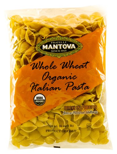 Mantova cooked pasta shells plated with tomato sauce ready to serve