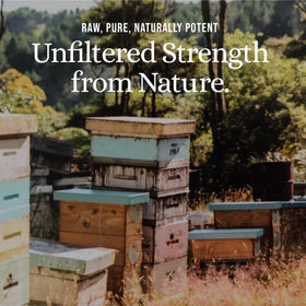 Gift-ready Manuka Honey with sustainable packaging for occasions.