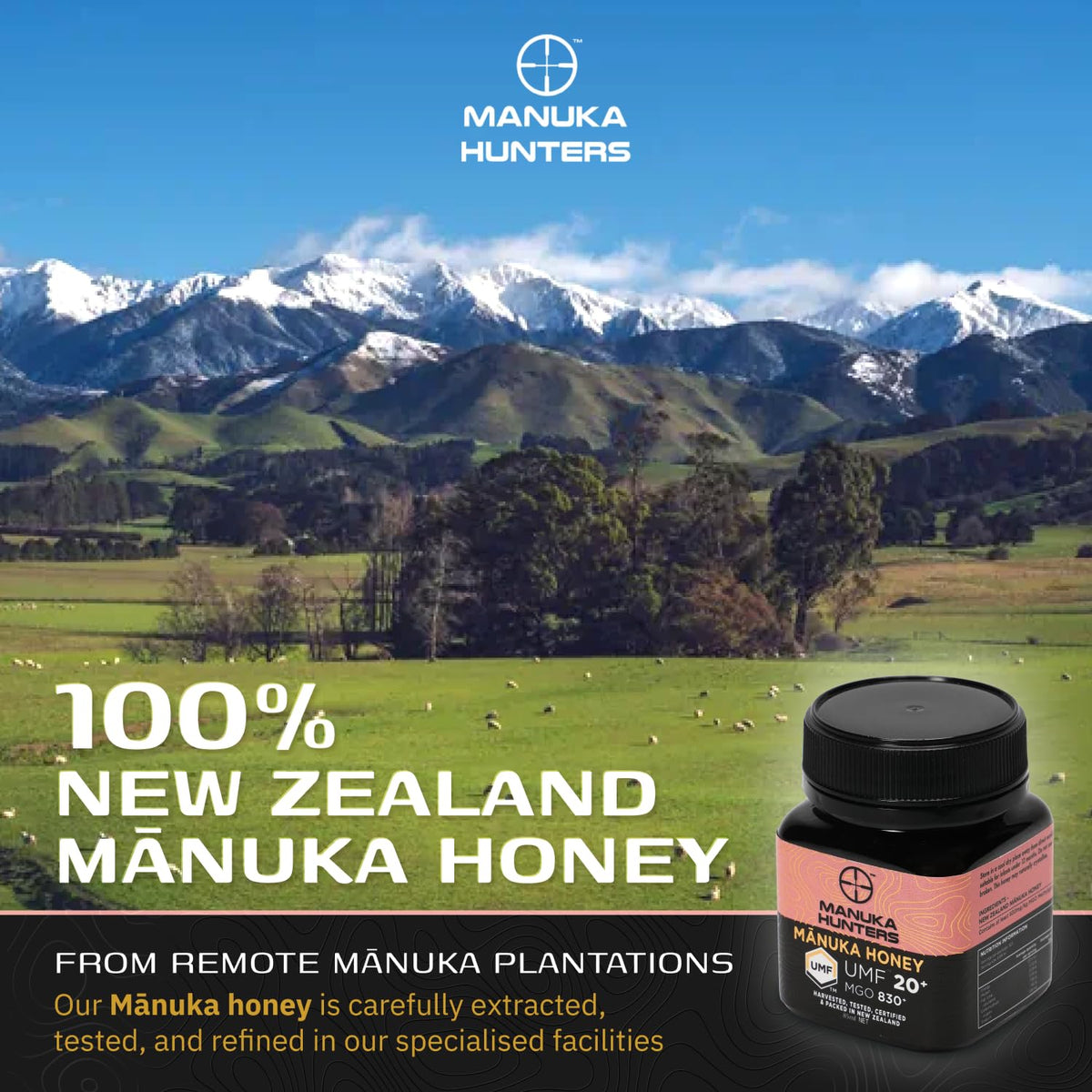 Manuka Hunters UMF honey gift-ready jar on shelf