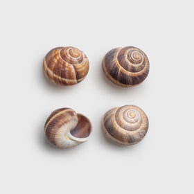 Imported from France, MARKY'S shells showcase premium quality and authenticity.