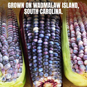 Marsh Hen Mill Sea Island Blue Grits ingredients highlight wholesome corn.