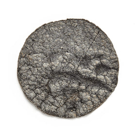 Masienda Blue Corn Masa Harina tortillas cooking on a hot griddle.