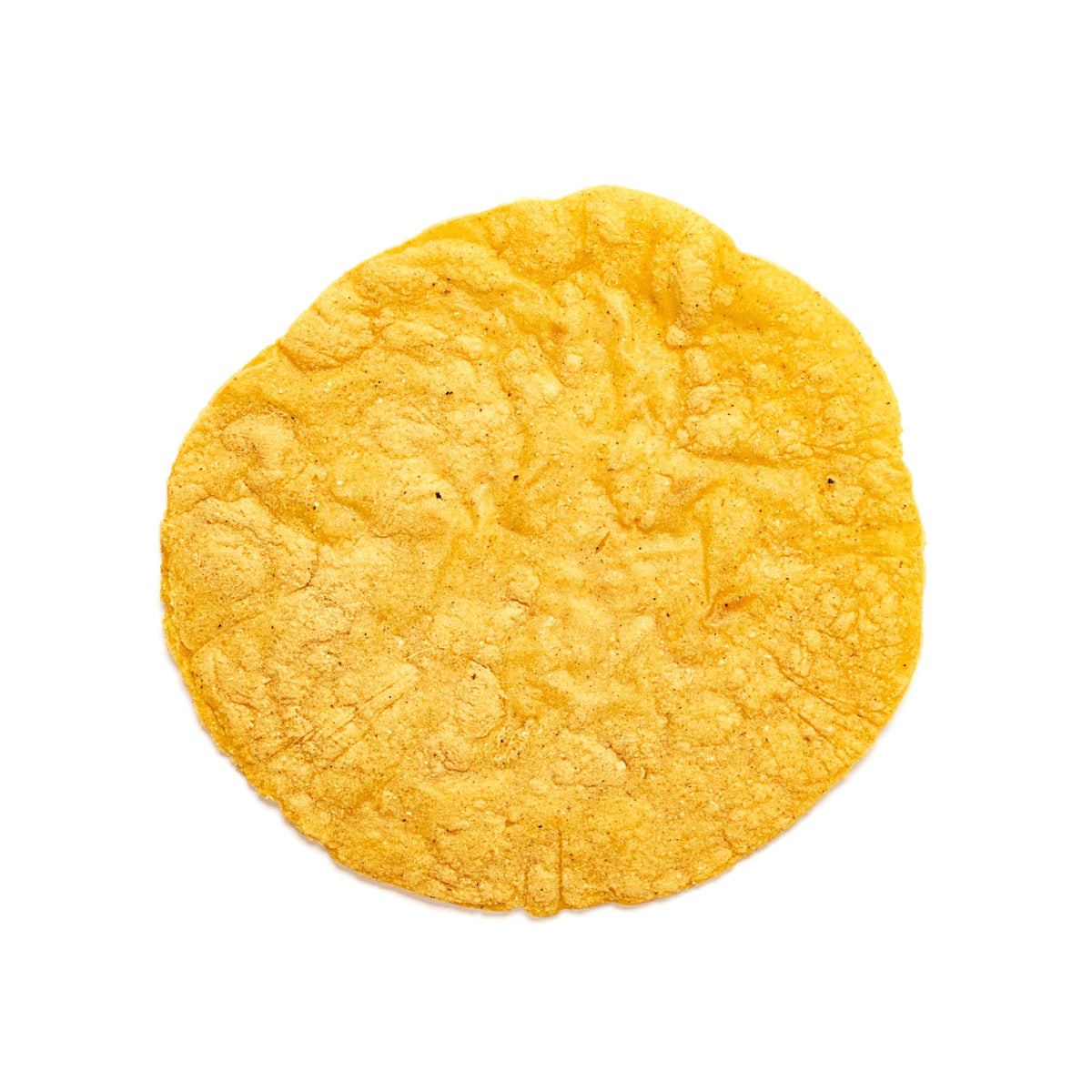 Masienda tortillas on a warm surface, perfect for tacos and tamales