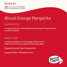Master of Mixes Blood Orange Margarita glass serve with vibrant citrus color