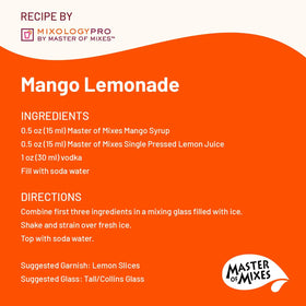 Close-up of ingredients highlighting Alphonso mangoes and cane sugar in syrup.