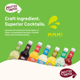 Master of Mixes Mojito serving glass, vibrant mojito ready in minutes.
