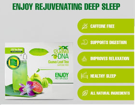 MATCHA DNA Guava Leaf Tea packaging shows fresh leaves and sustainable sourcing.