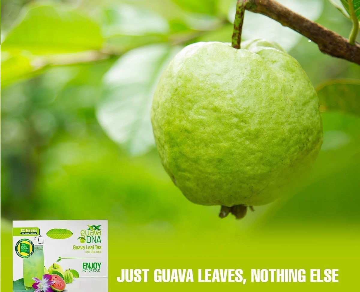 Hot infusion from Guava leaf tea invites a calm, evening ritual.