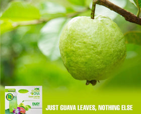 Hot infusion from Guava leaf tea invites a calm, evening ritual.