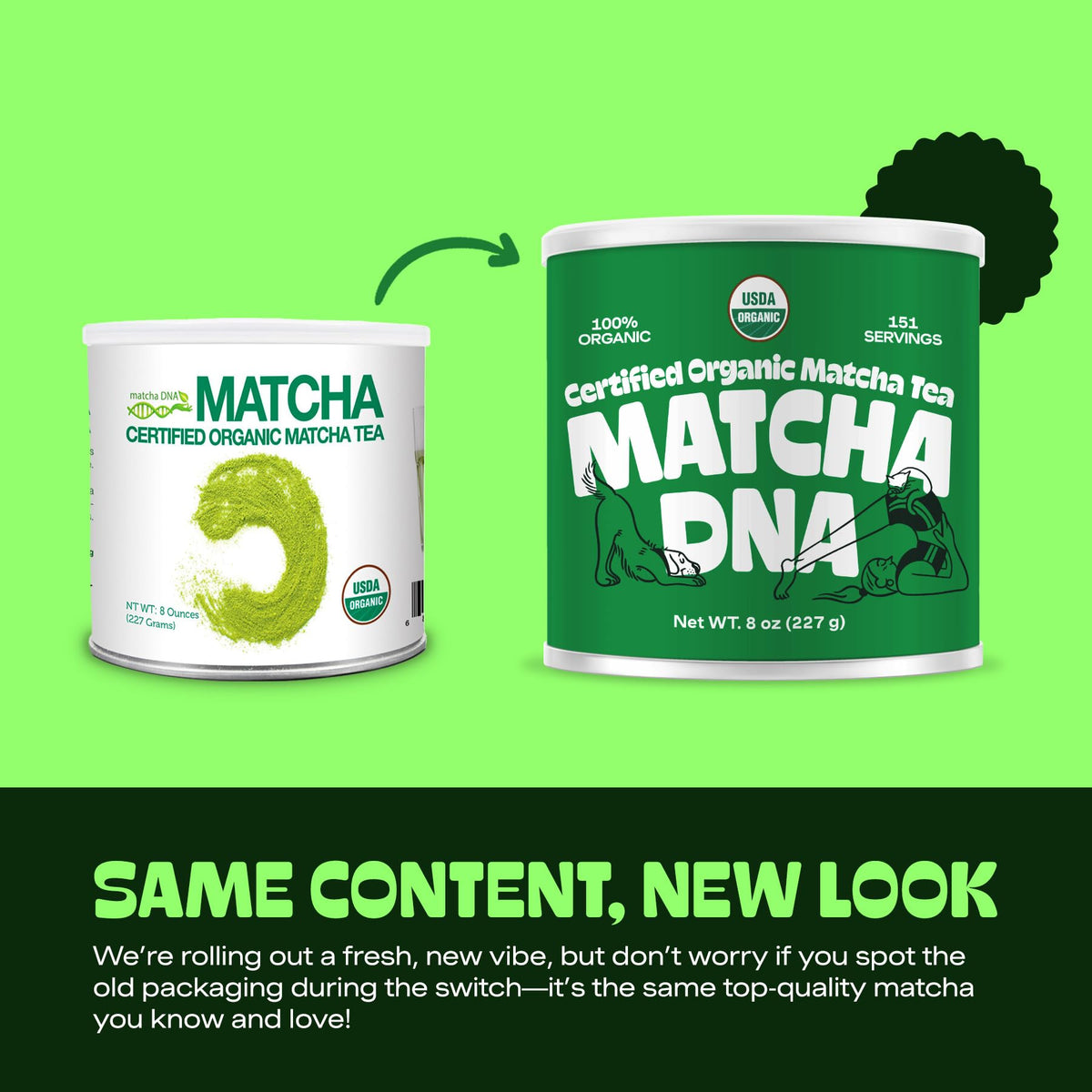 MATCHA DNA organic matcha latte powder on spoon, ready for creamy drinks.