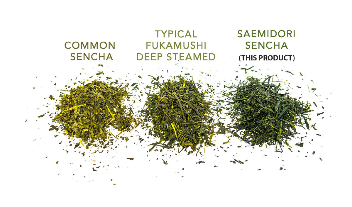 Matcha Konomi Sencha cup close invites smooth, refreshing notes for mindful sipping