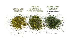 Matcha Konomi Sencha cup close invites smooth, refreshing notes for mindful sipping