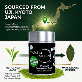 Matcha Moon shade-grown green tea plant leaves close-up