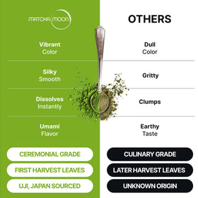 Matcha Moon ceremonial cup with a smooth, balanced brew