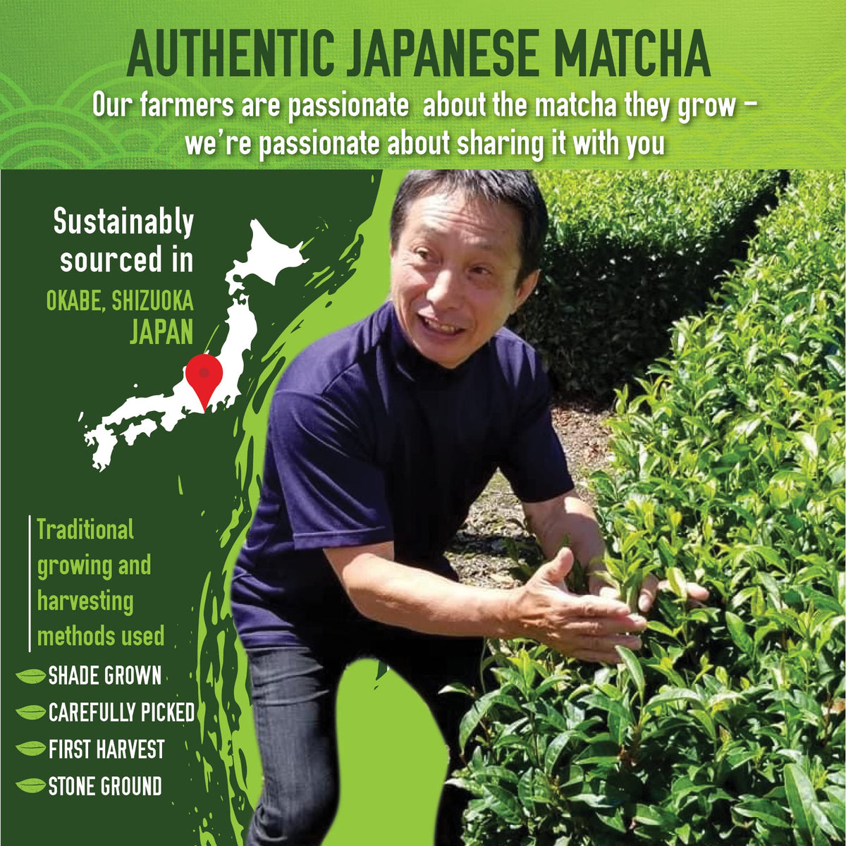 Matcha Organics ceremonial matcha smoothie blend adding natural energy.