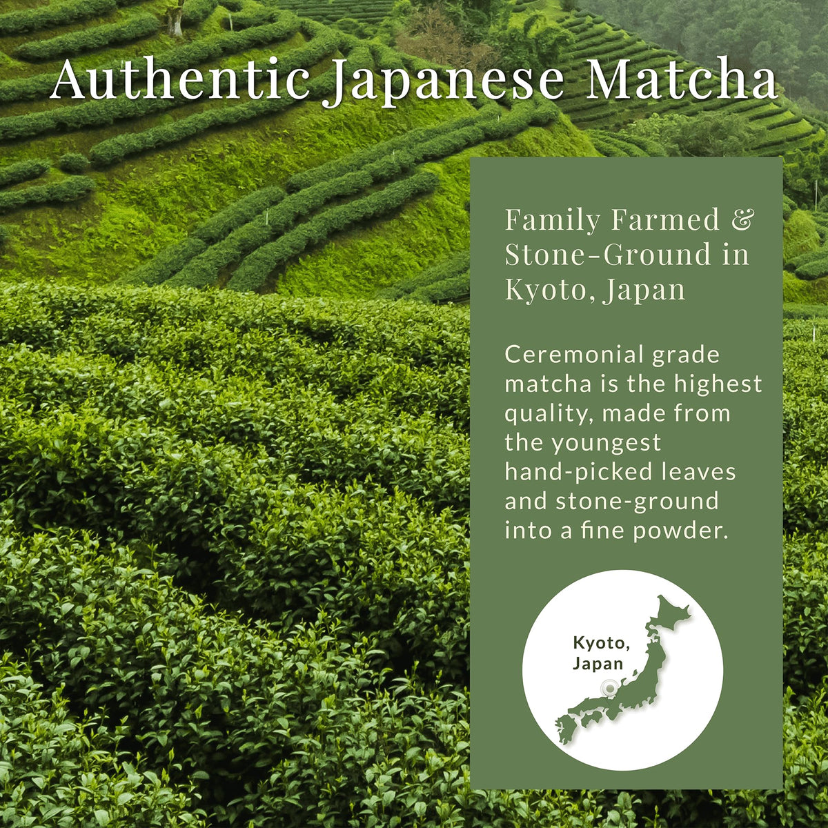 Matcha Sunday rich color and aroma indicating antioxidant-rich ceremonial grade matcha.