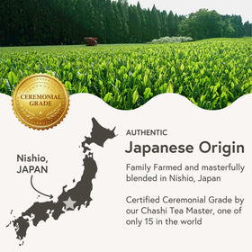 Kagoshima green tea leaves used for ceremonial-grade matcha, smooth flavor.