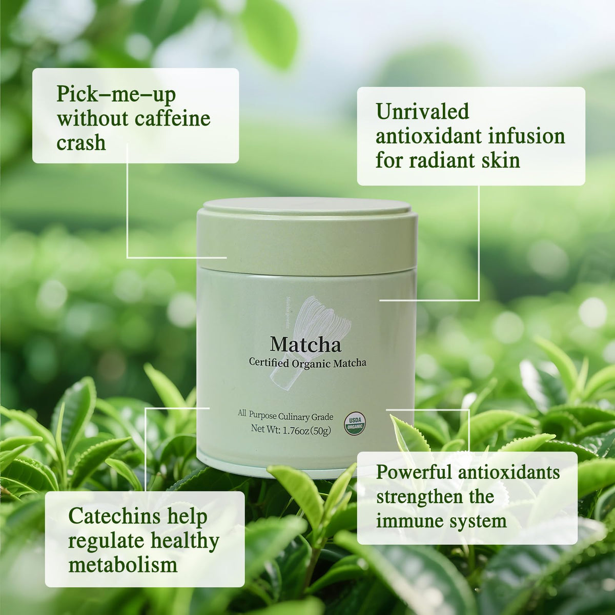 MatchAdmire latte setup with vegan matcha beverage