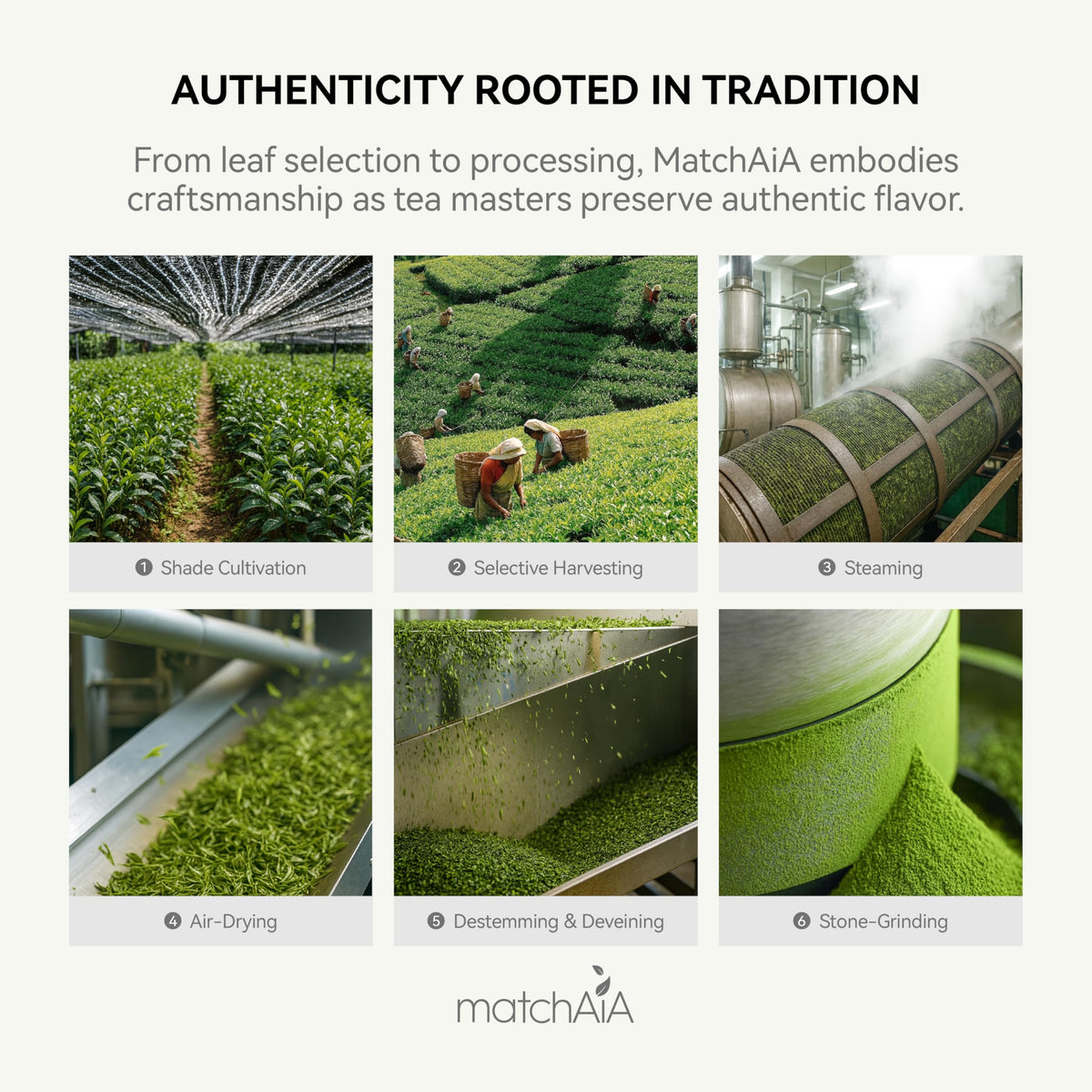 MatchAiA Organic Matcha Smoothie bowl showcases vibrant color and energizing blend.