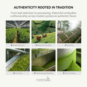 MatchAiA smoothie with vibrant green powder for nutritious breakfast boosts.