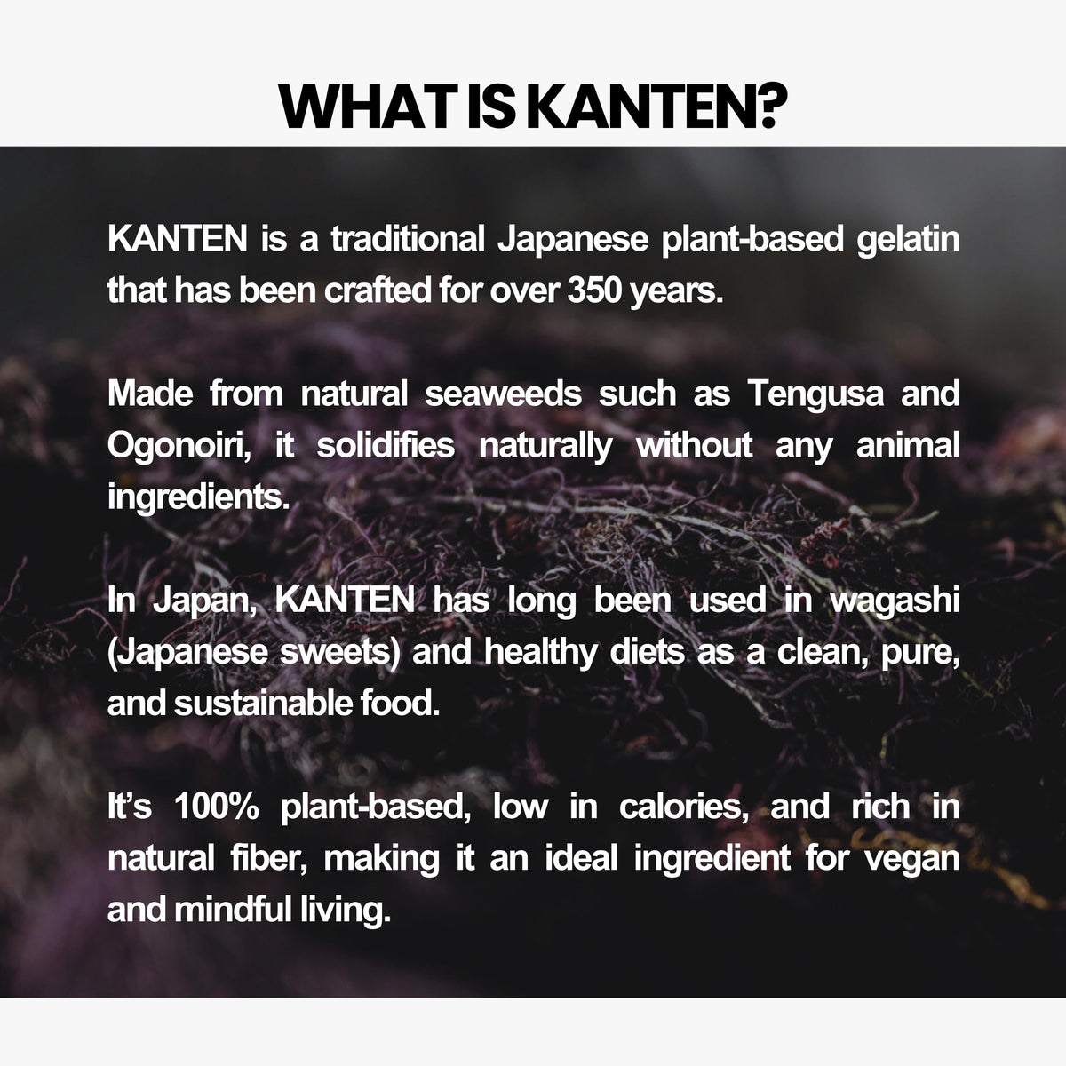 Matcharl KANTEN sticks ready to dissolve for fiber-rich drinks