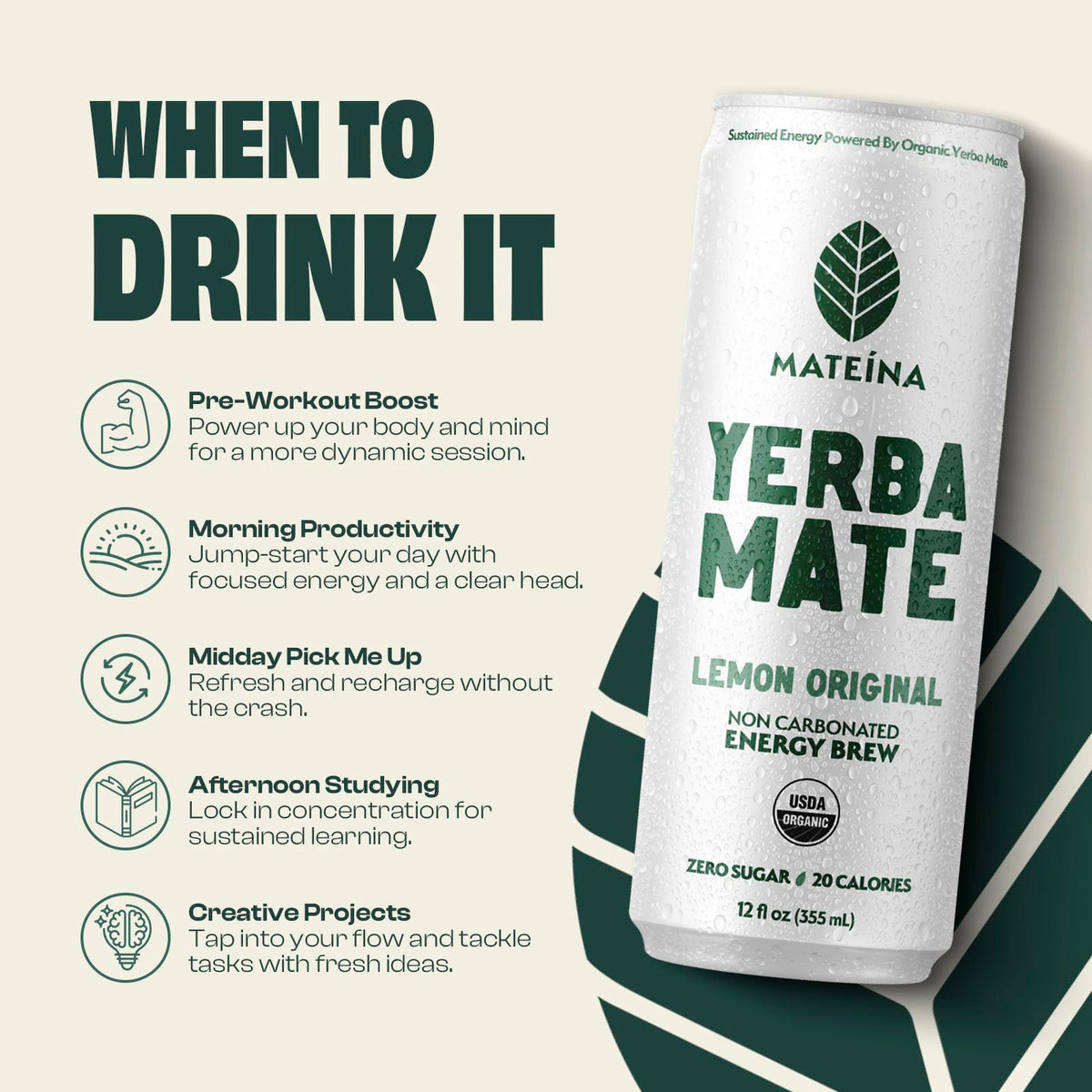 Mateina 12-pack display ready for office or gym breaks.