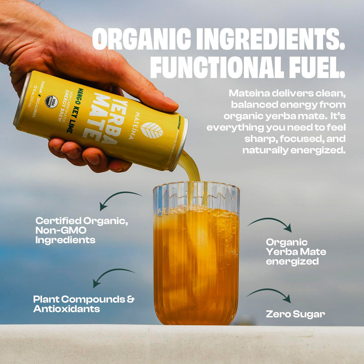 Organic label and clear ingredients on Mateina Yerba Mate Zero Sugar Energy Drink packaging