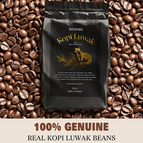 Matinée Kopi Luwak civet coffee batch shows unique fermentation influence on flavor.