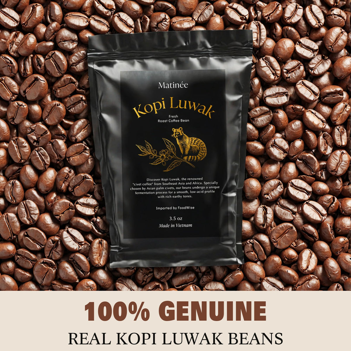 Matinée Kopi Luwak coffee in cup suggesting balanced flavor and low acidity.