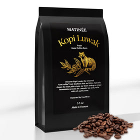 Ground beans on display ready for grind-and-brew rituals.