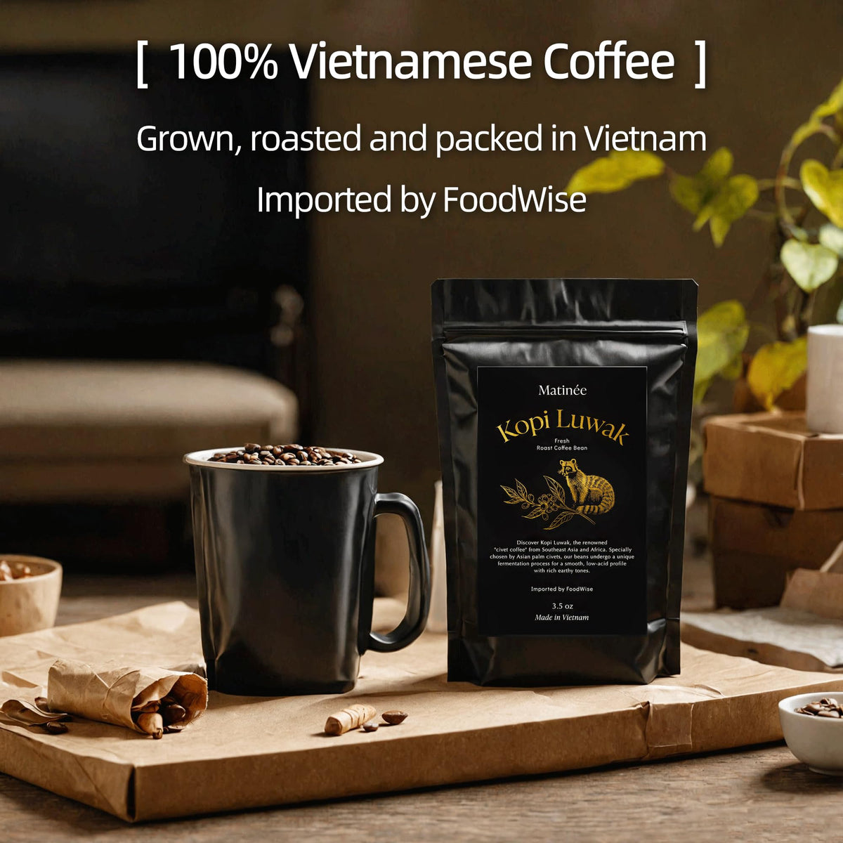 Matinée Wild Kopi Luwak beans close-up revealing rich color and smooth potential.