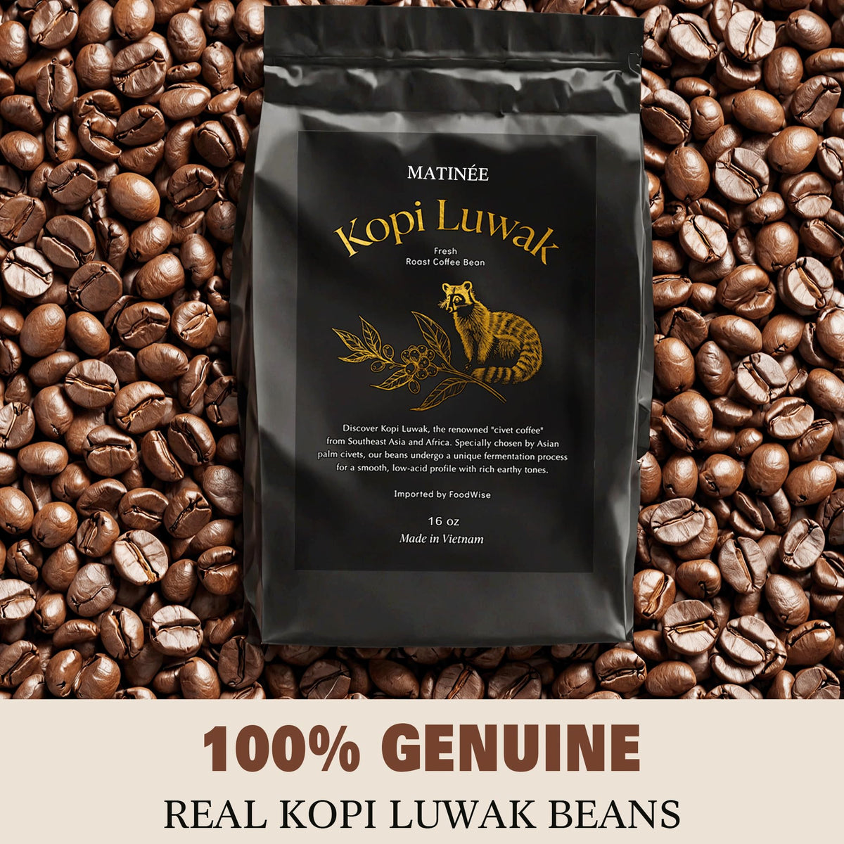 Brewed MATINEE Kopi Luwak cup with smooth finish